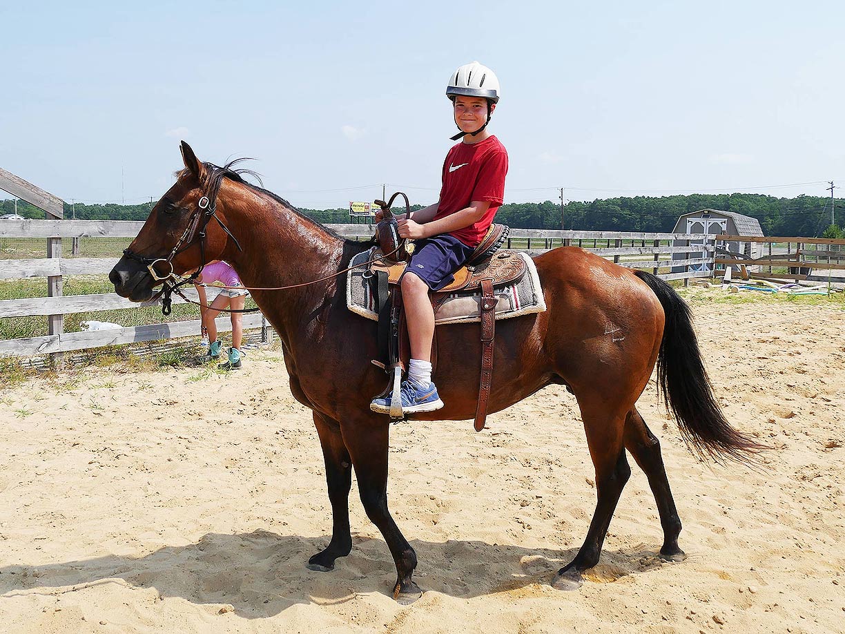 Horse Camp Haluwasa South Jersey 