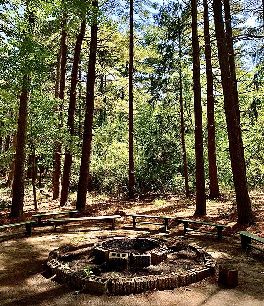 Camp Haluwasa Clean Up Day Event