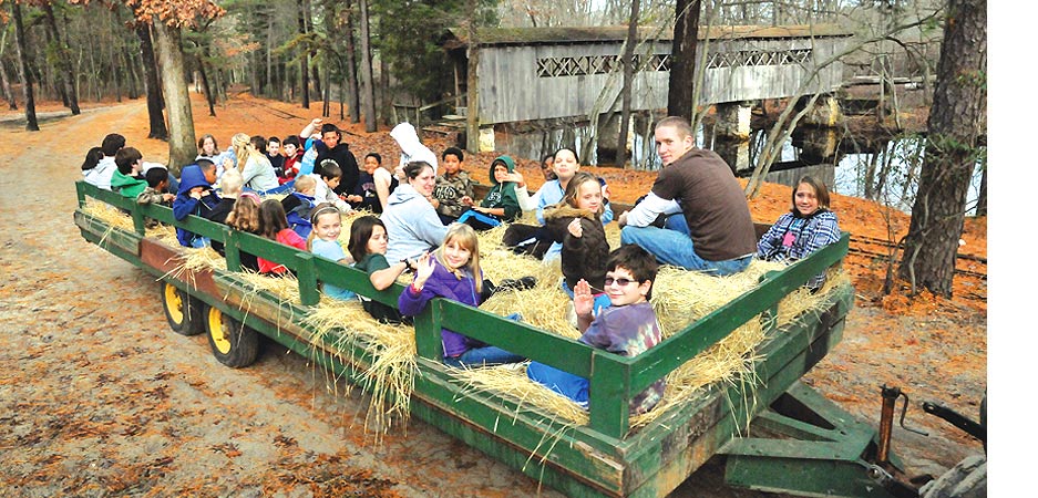 HALUWASA HAYRIDES